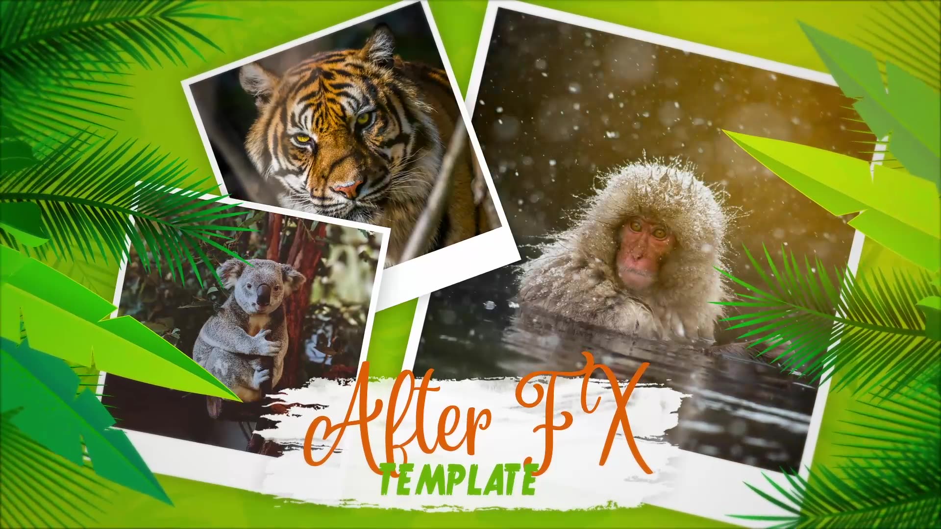 Animals World Slideshow Videohive 31050522 After Effects Image 6