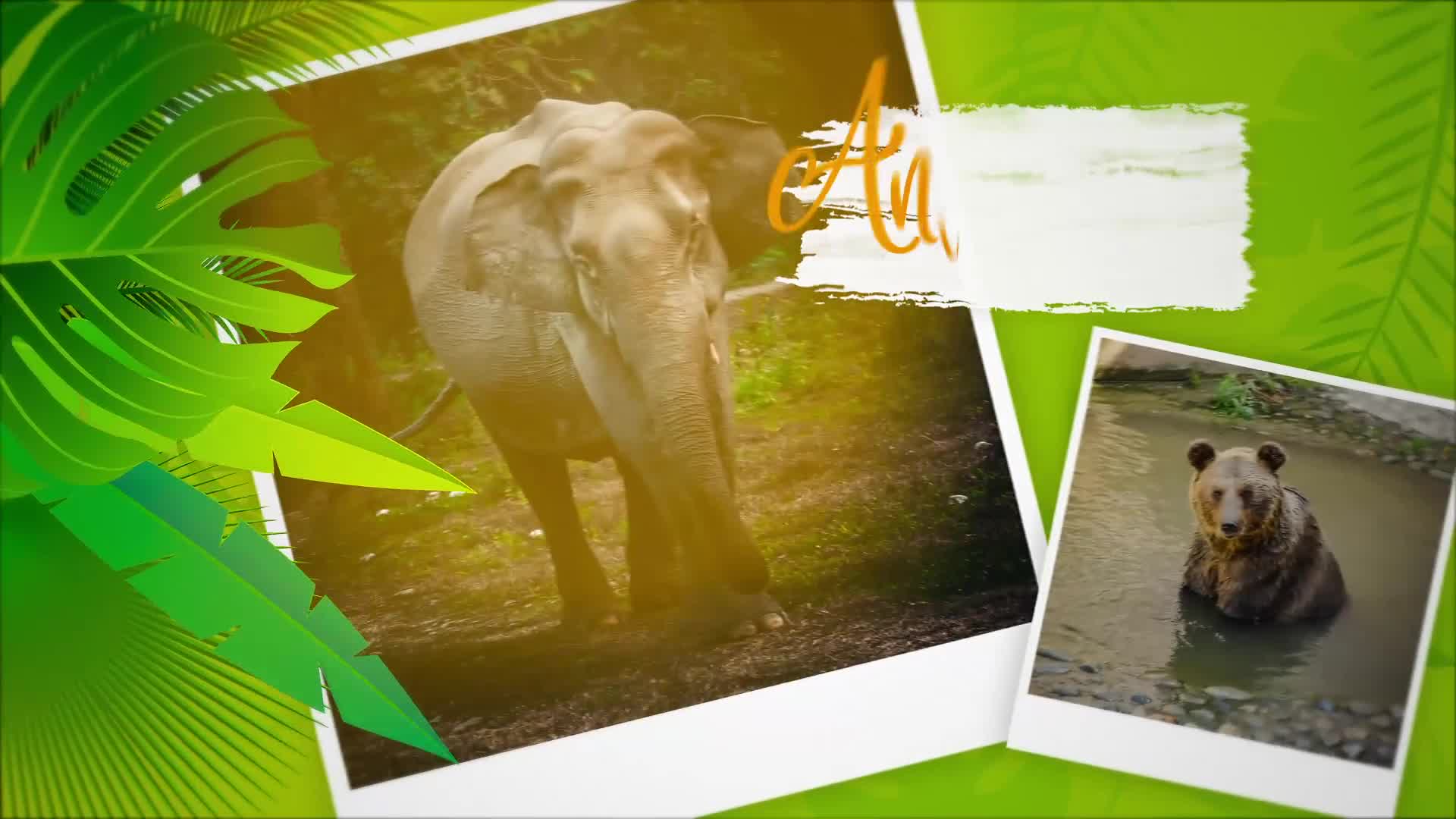 Animals World Slideshow Videohive 31050522 After Effects Image 8