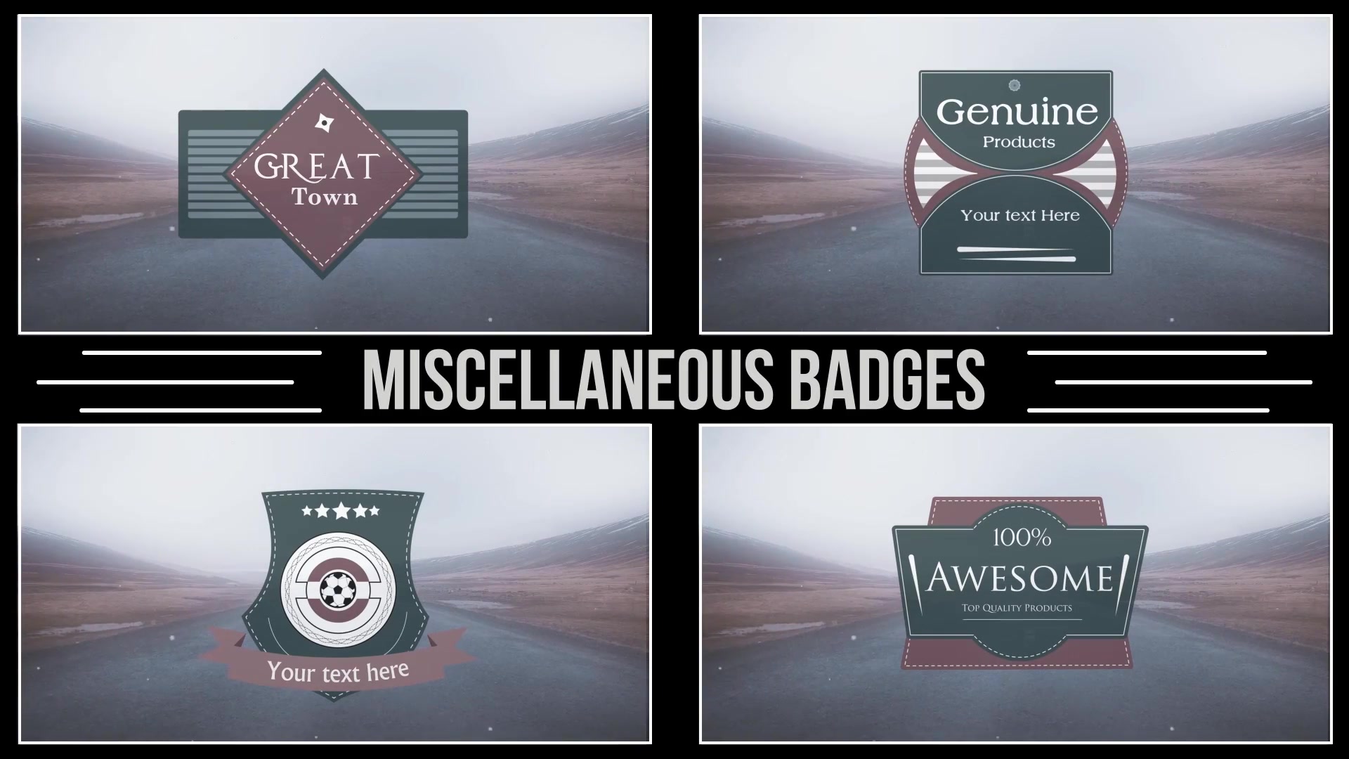 Animated Badges - Download Videohive 8654881