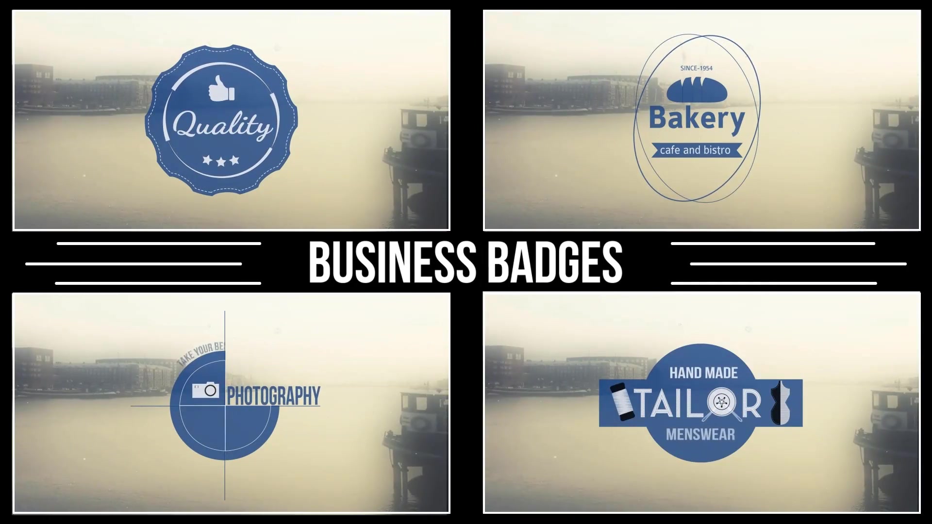 Animated Badges - Download Videohive 8654881