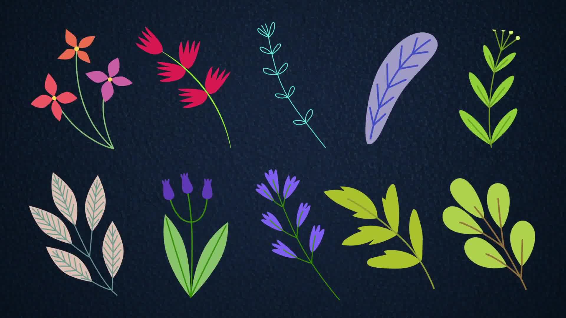 Animated Flowers || After Effects Videohive 32690336 After Effects Image 11