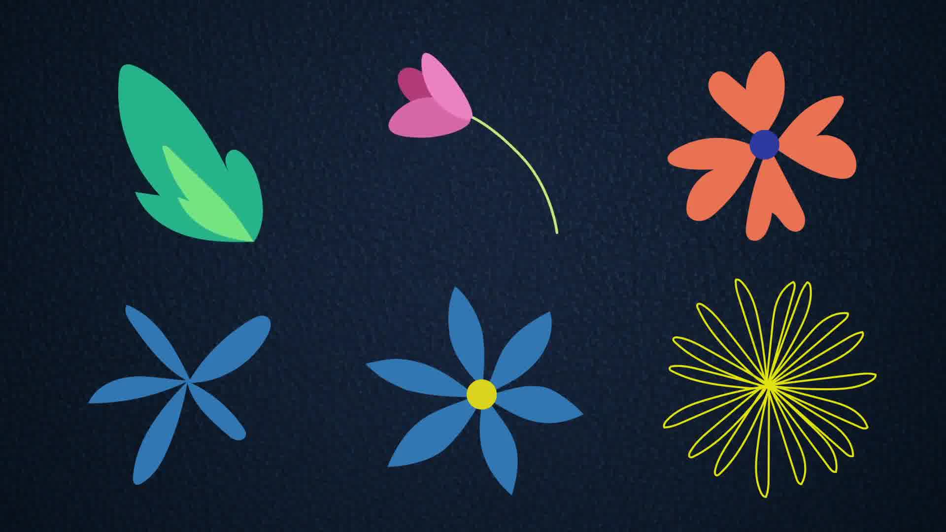 flower animation after effects download