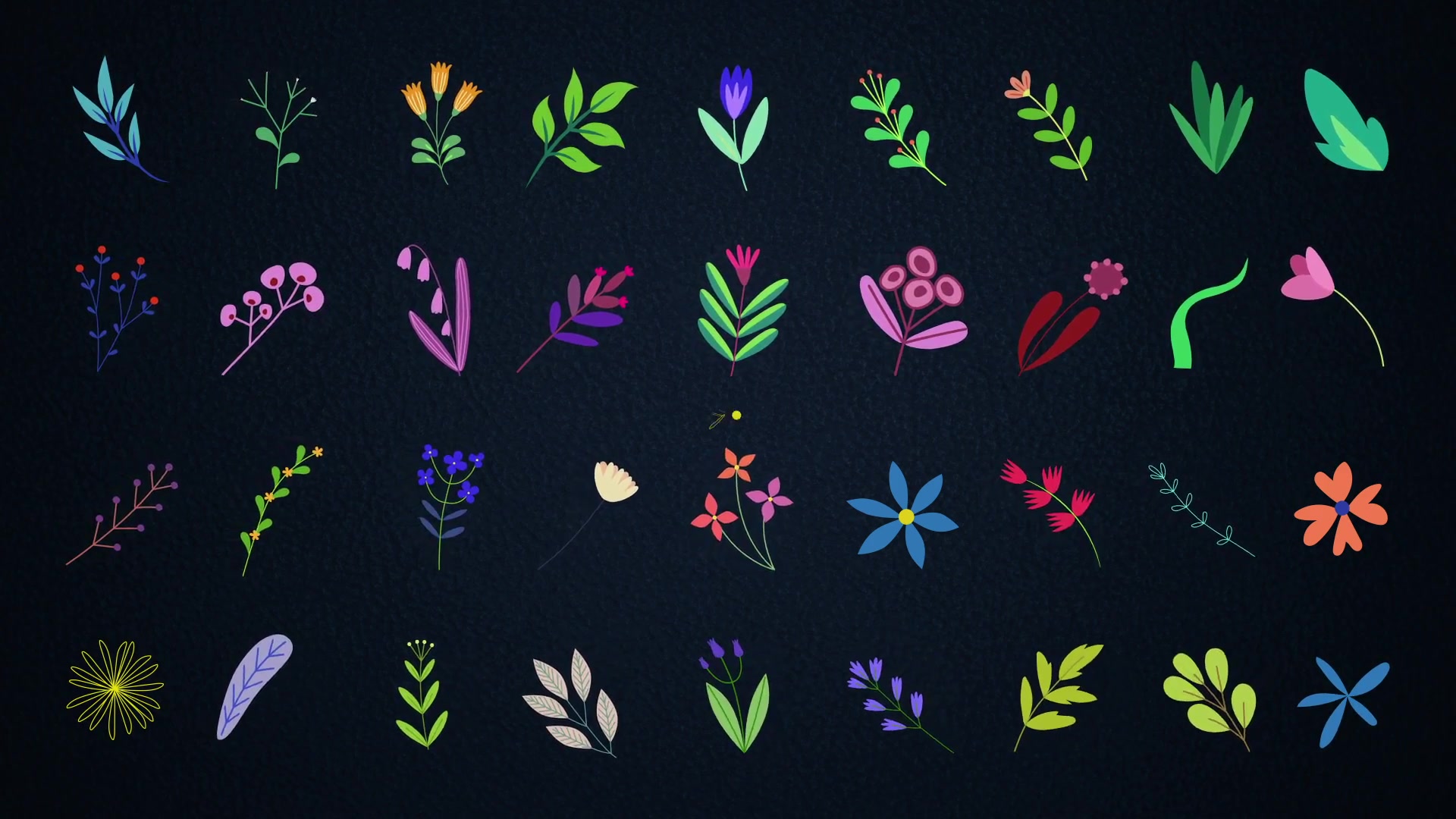 Animated Flowers || After Effects Videohive 32690336 After Effects Image 2