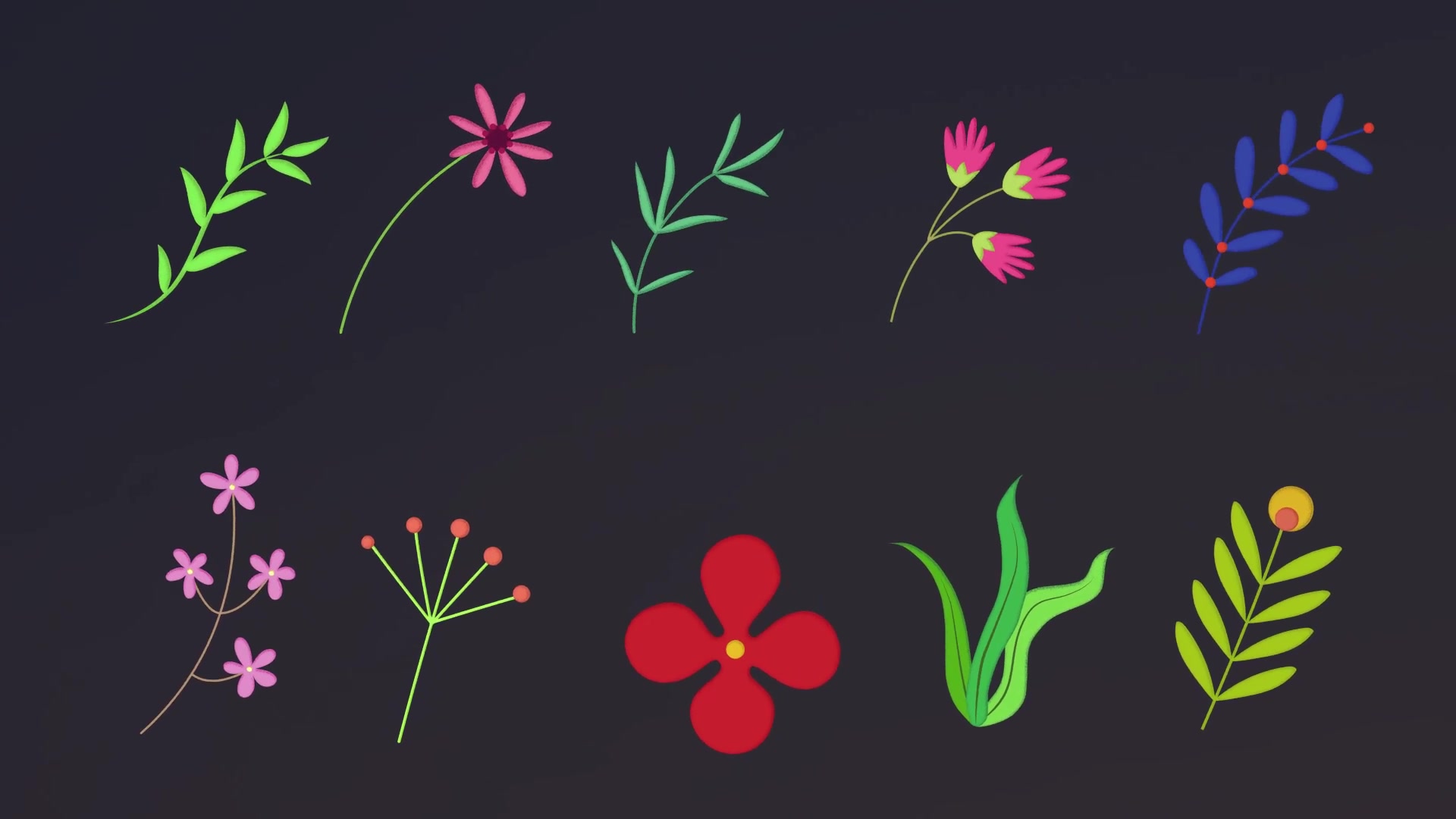 Animated Flowers || After Effects Videohive 33714560 After Effects Image 10