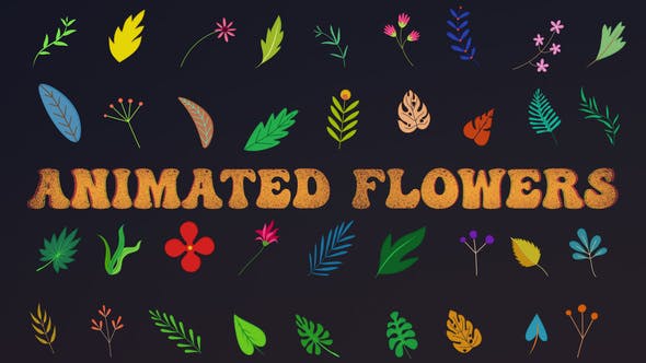 Animated Flowers || After Effects - Videohive Download 33714560