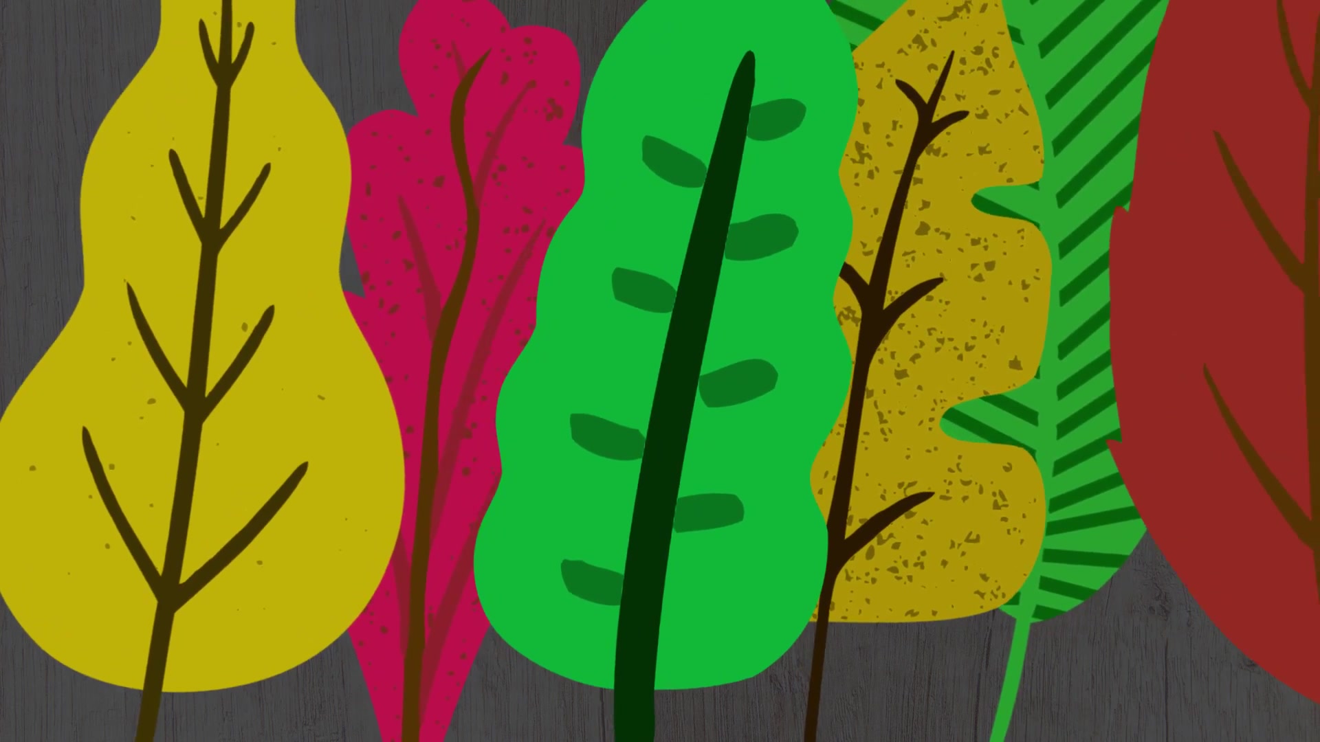 Animated Leafs || After Effects Videohive 33850931 After Effects Image 8