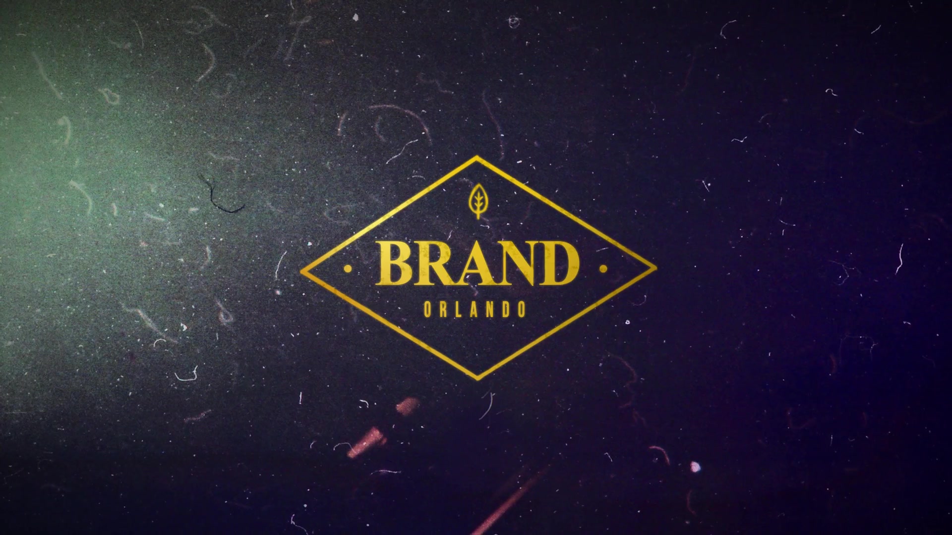 Animated Logo Pack Videohive 12322544 After Effects Image 4