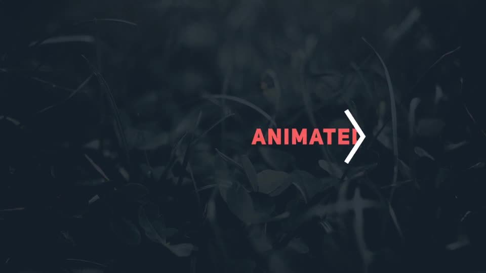Animated Titles 3 - Download Videohive 19741309