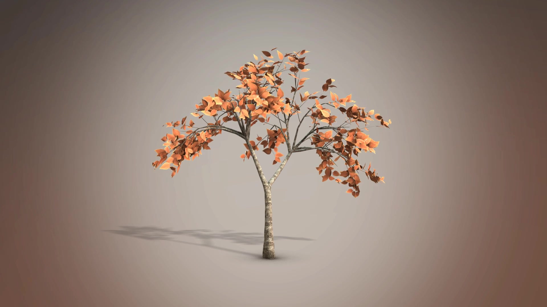 Animated Tree Pack Videohive 28600653 After Effects Image 8