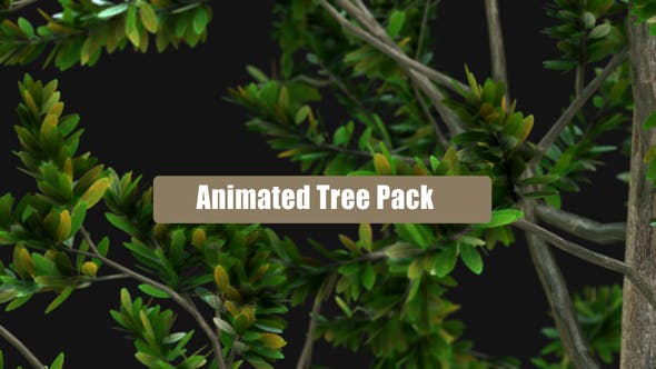 Animated Tree Pack - Videohive 28600653 Download