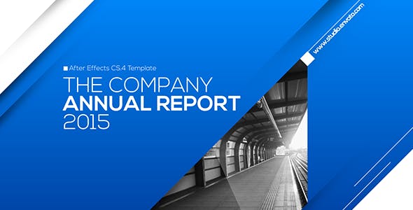 Annual Report Multipurpose - Download Videohive 13300008