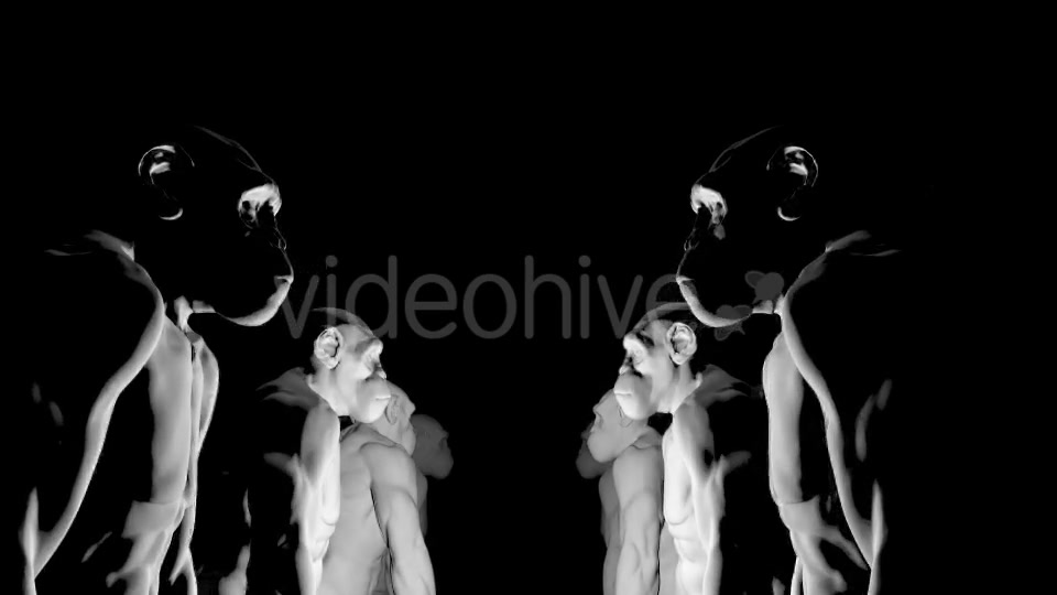Apes 2 4K - Download Videohive 20263496