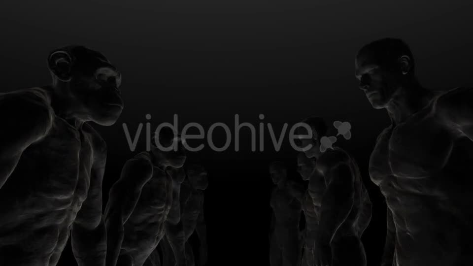 Apes 5 4K - Download Videohive 20280197