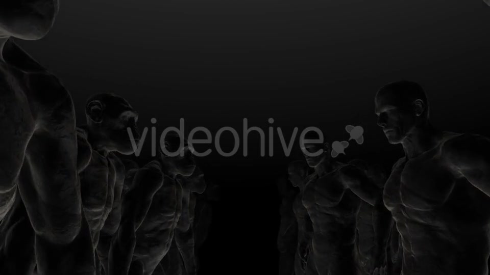 Apes 5 4K - Download Videohive 20280197