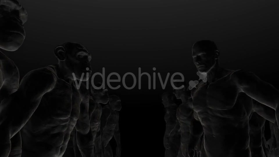 Apes 5 4K - Download Videohive 20280197