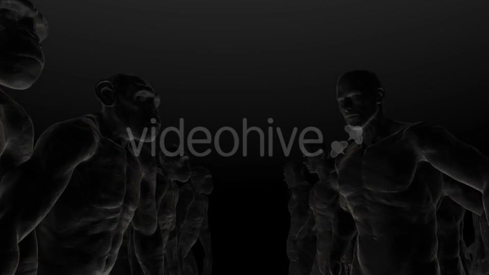 Apes 5 HD - Download Videohive 20281273
