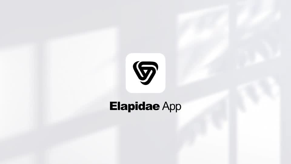 App Presentation Mockup | Elapidae Videohive 30745719 After Effects Image 1