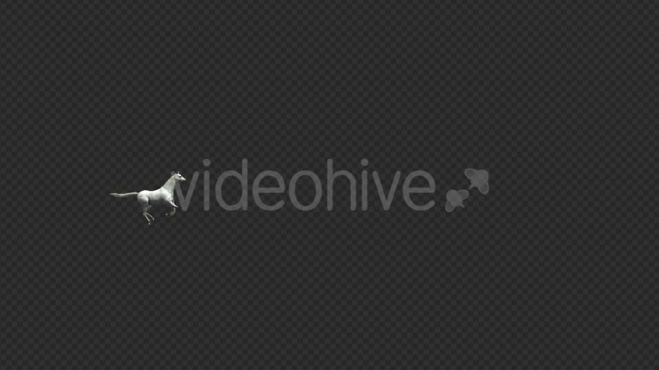 Arabian Horse Galloping - Download Videohive 19198852