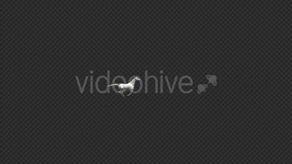 Arabian Horse Galloping - Download Videohive 19198852