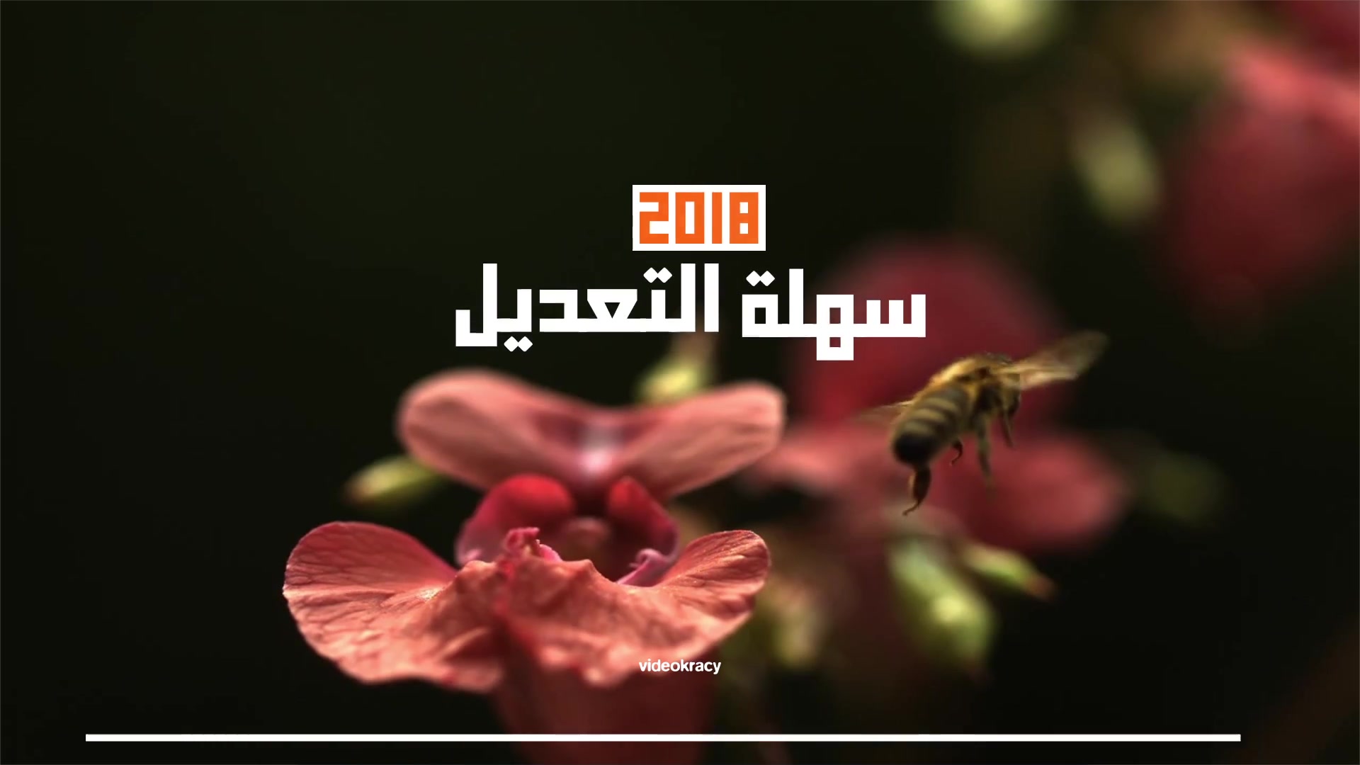 Arabic Titles - Download Videohive 21716699