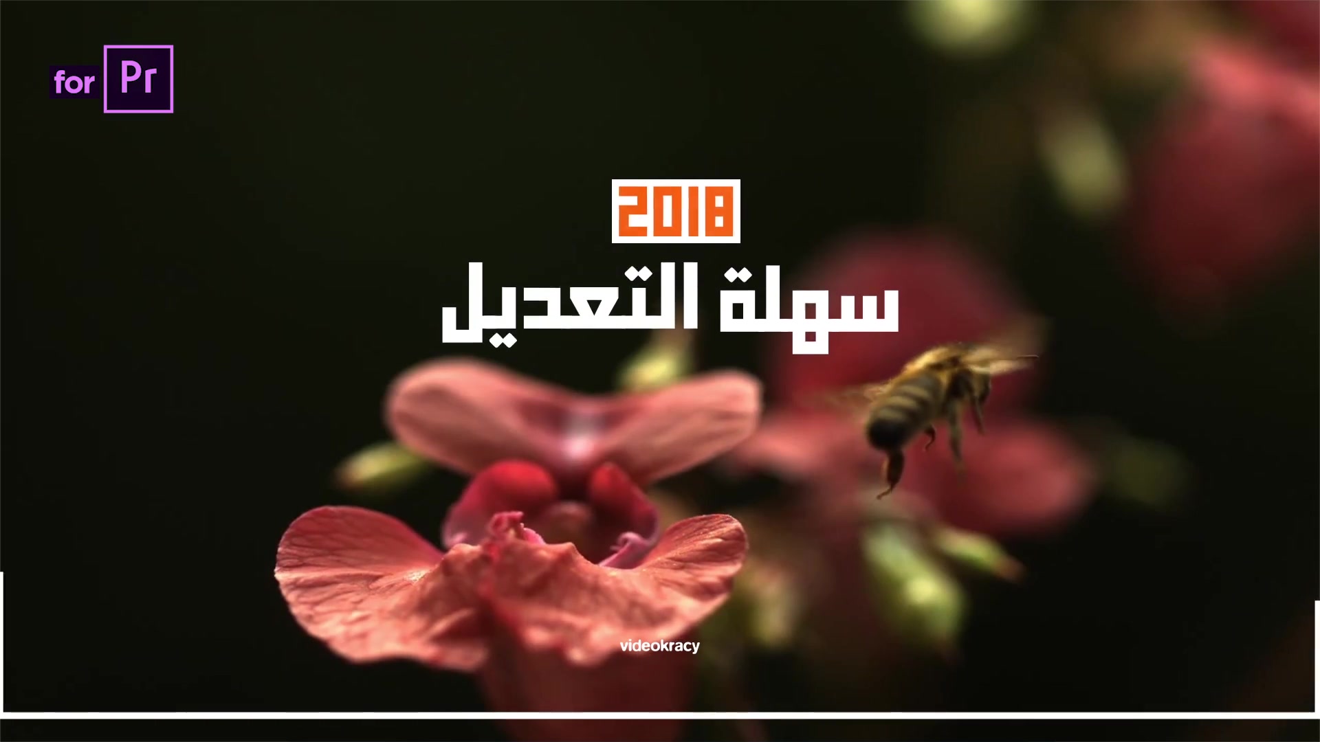 Arabic Titles - Download Videohive 21816556