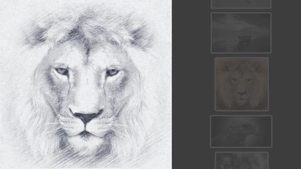 Artist Sketch Reveal Template Videohive 23436939 After Effects Image 2