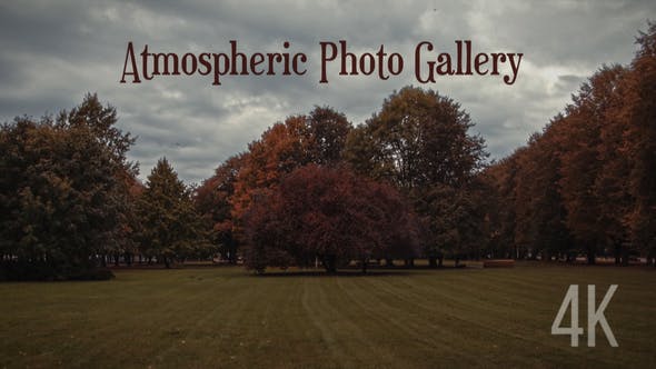 Atmospheric Photo Gallery 4K - 24837062 Videohive Download