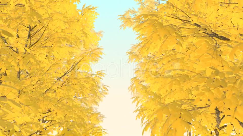 Autumn 01 - Download Videohive 19337596