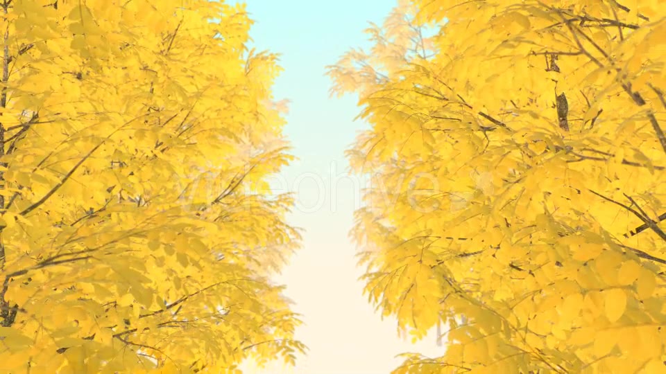 Autumn 01 - Download Videohive 19337596