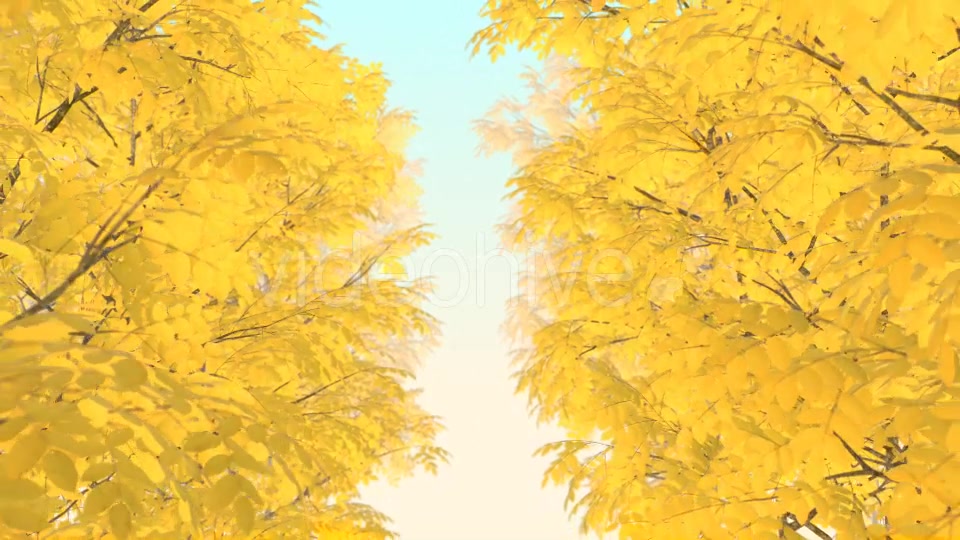 Autumn 01 - Download Videohive 19337596