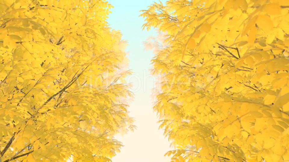 Autumn 01 - Download Videohive 19337596