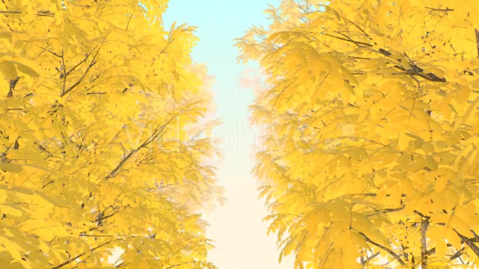 Autumn 01 - Download Videohive 19337596