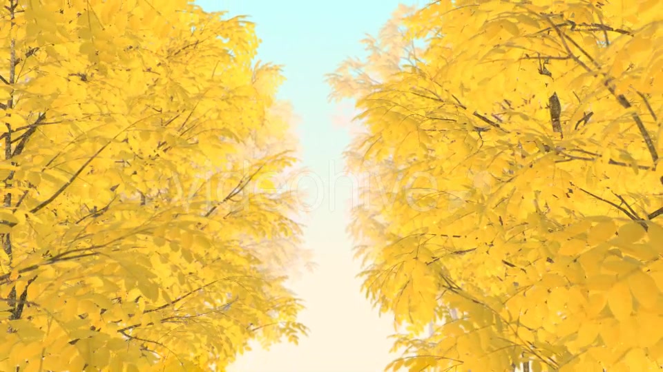 Autumn 01 - Download Videohive 19337596