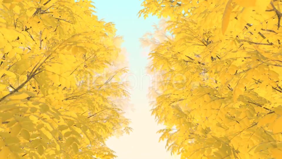 Autumn 01 - Download Videohive 19337596