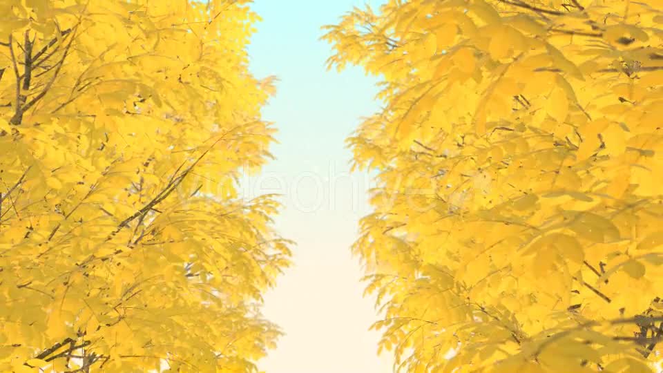 Autumn 01 - Download Videohive 19337596