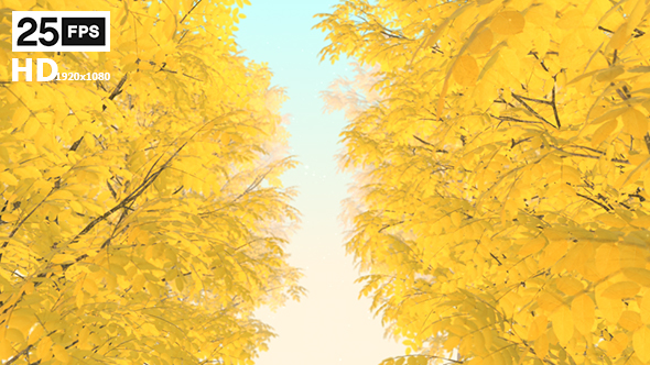 Autumn 01 - Download Videohive 19337596