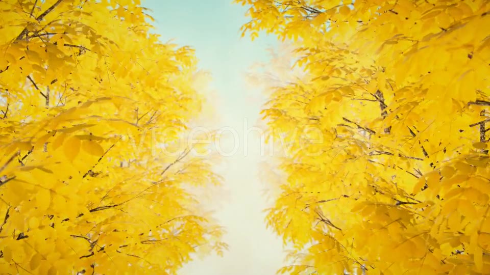 Autumn 02 - Download Videohive 19339777