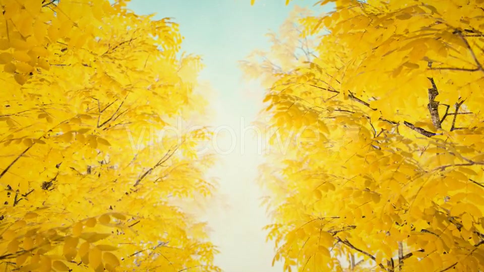 Autumn 02 - Download Videohive 19339777