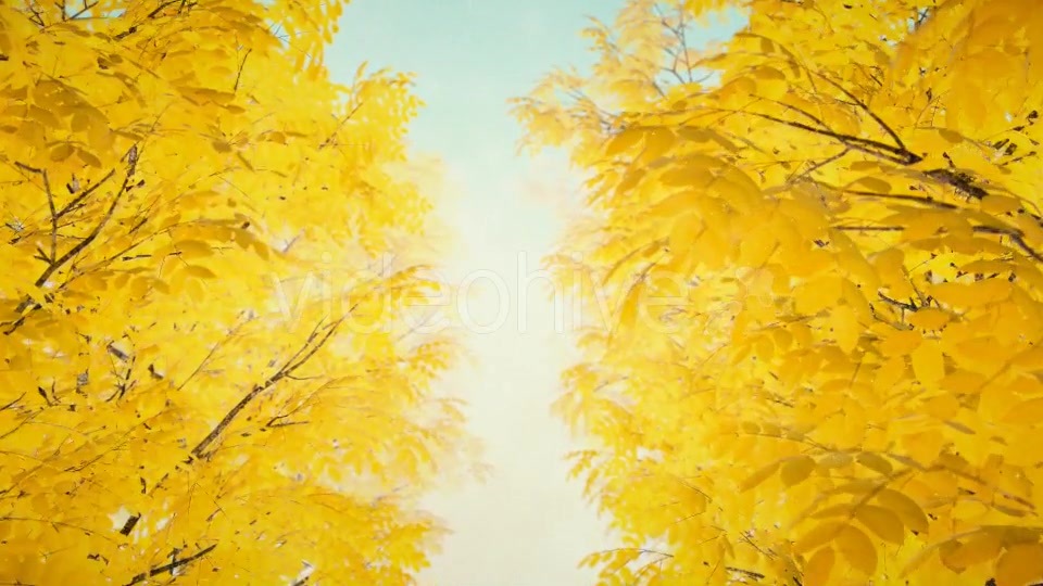 Autumn 02 - Download Videohive 19339777