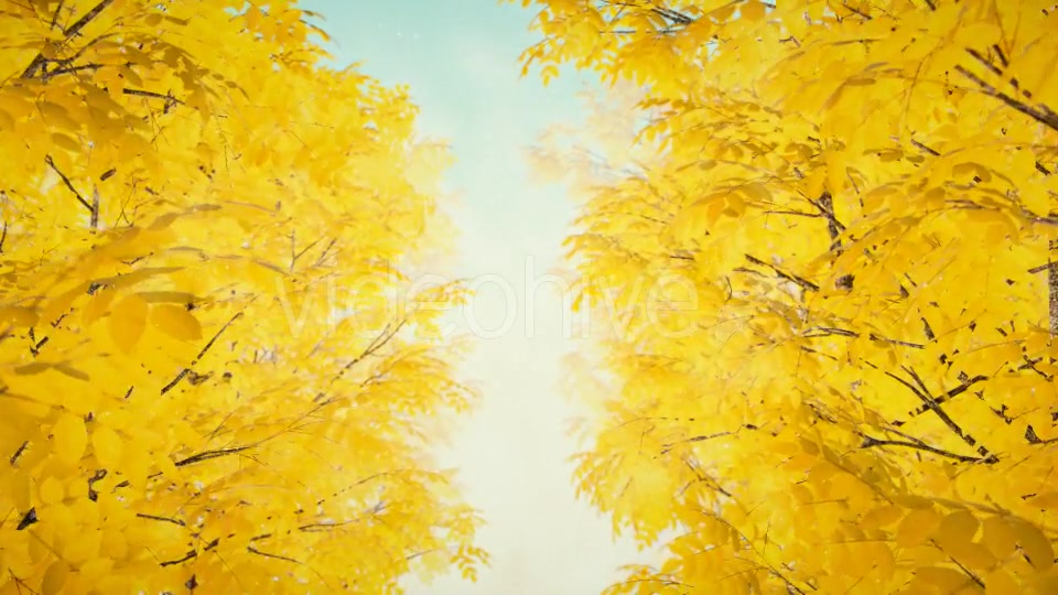 Autumn 02 - Download Videohive 19339777