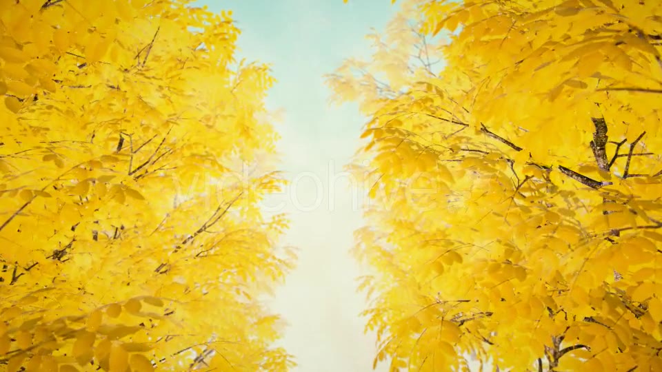 Autumn 02 - Download Videohive 19339777