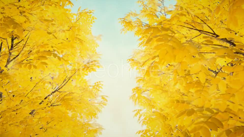 Autumn 02 - Download Videohive 19339777