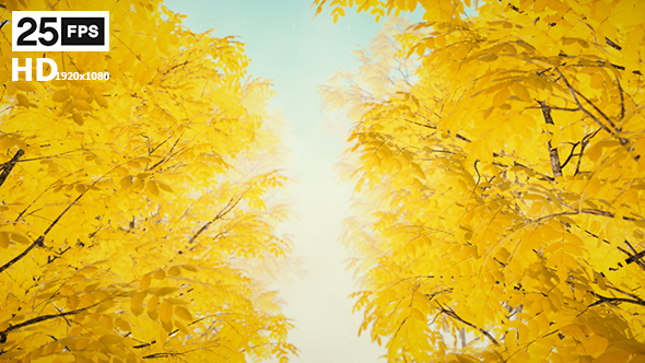 Autumn 02 - Download Videohive 19339777