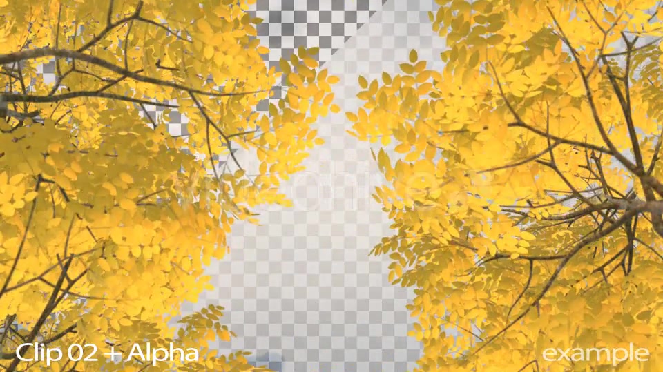 Autumn 03 - Download Videohive 19341819