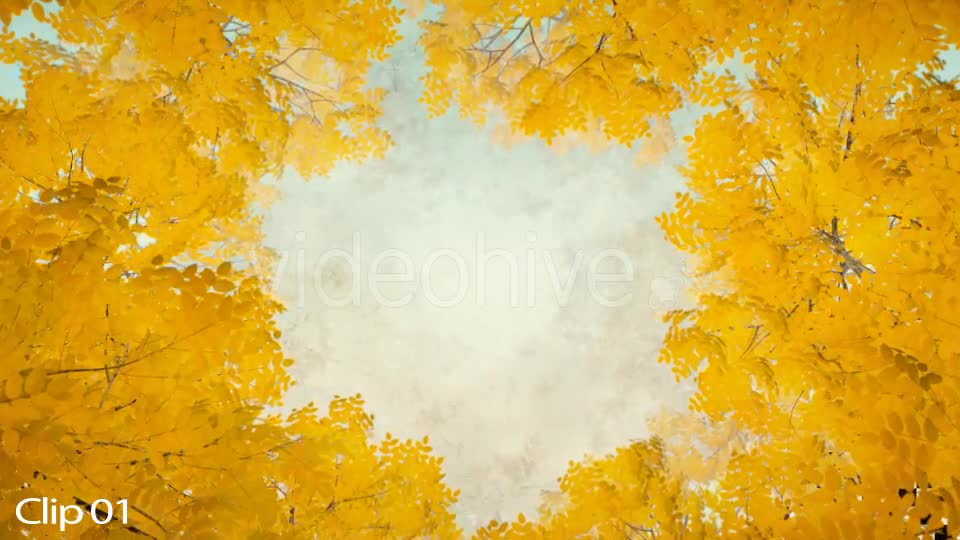 Autumn 06 - Download Videohive 19381985