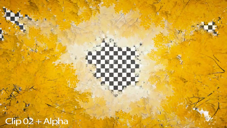 Autumn 06 - Download Videohive 19381985