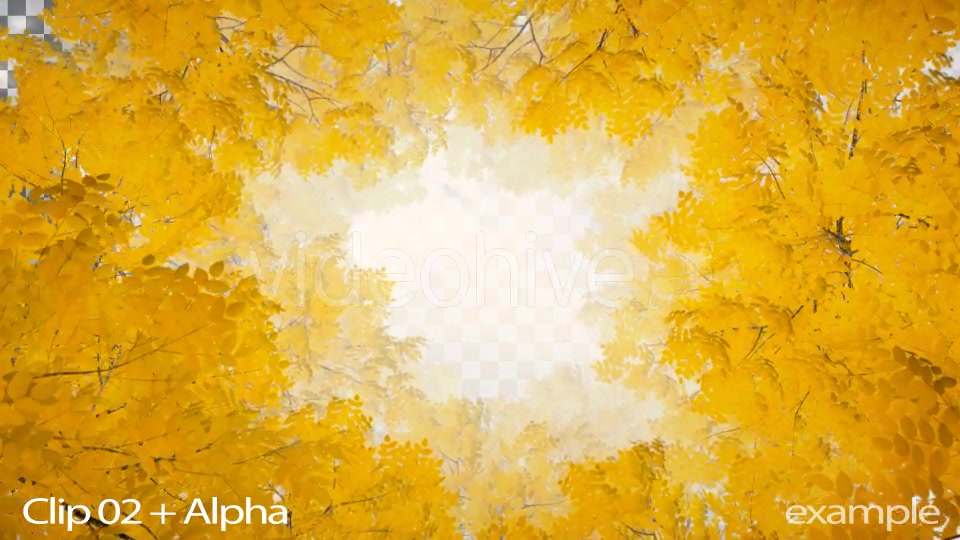 Autumn 06 - Download Videohive 19381985