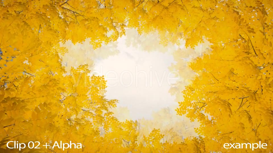 Autumn 06 - Download Videohive 19381985