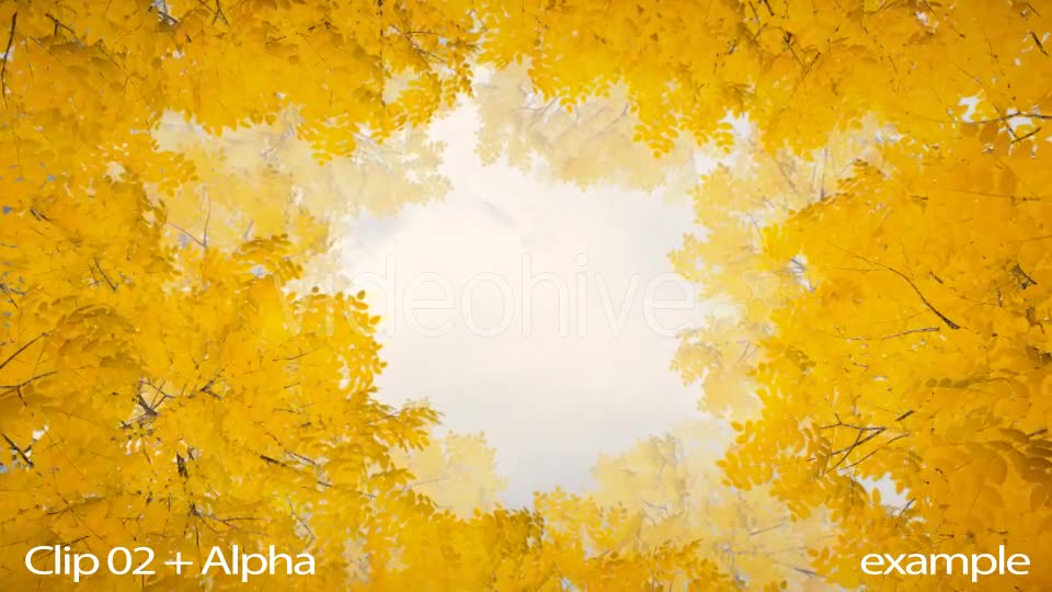 Autumn 06 - Download Videohive 19381985