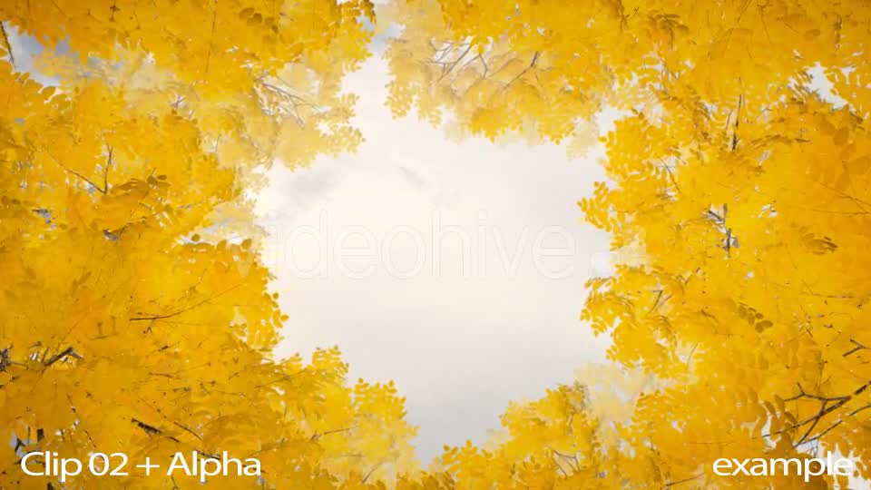 Autumn 06 - Download Videohive 19381985